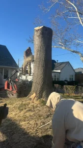 Elder's Tree Service (10)