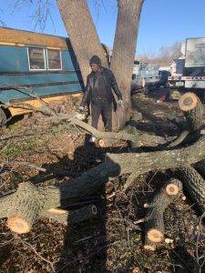Elder's Tree Service (14)