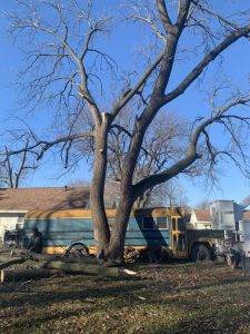 Elder's Tree Service (15)