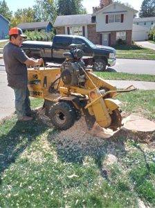 Elder's Tree Service (17)