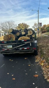 Elder's Tree Service (26)