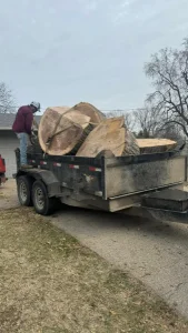 Elder's Tree Service (28)