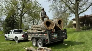 Elder's Tree Service (30)