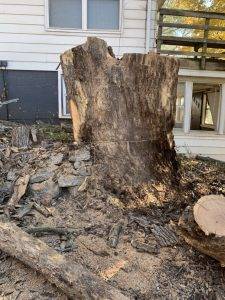 Elder's Tree Service (4)