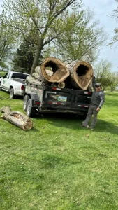 Elder's Tree Service (7)